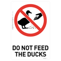 Do Not Feed The Ducks
