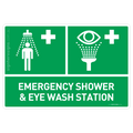Emergency Shower & Eye Wash Station