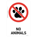 No Animals