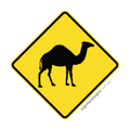 W5-44 Camel - Traffic Sign